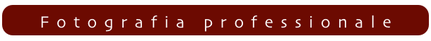 Fotografia professionale
